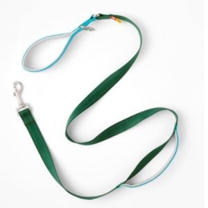 LEGO LIMITED EDITION Colorblock Dog Leash in Green